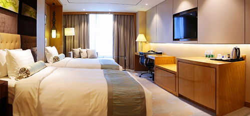 酒店住宿體驗 從選擇到入住的全面指南